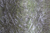 Swffryd fibreglass roof work